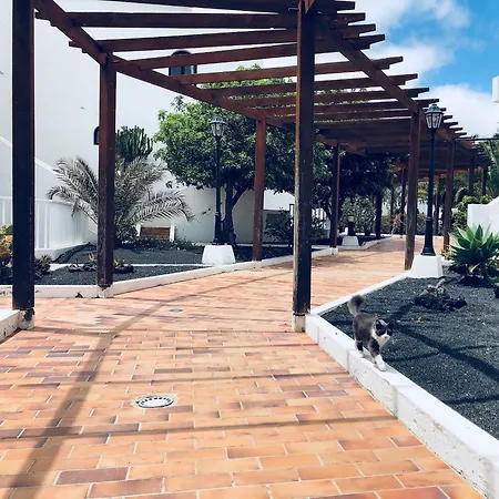 Apartment Residencial Teguisol Tf49 *